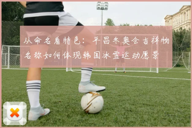 从命名看特色：平昌冬奥会吉祥物名称如何体现韩国冰雪运动愿景