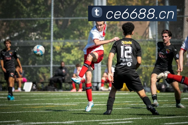 辅助工具 辅助工具